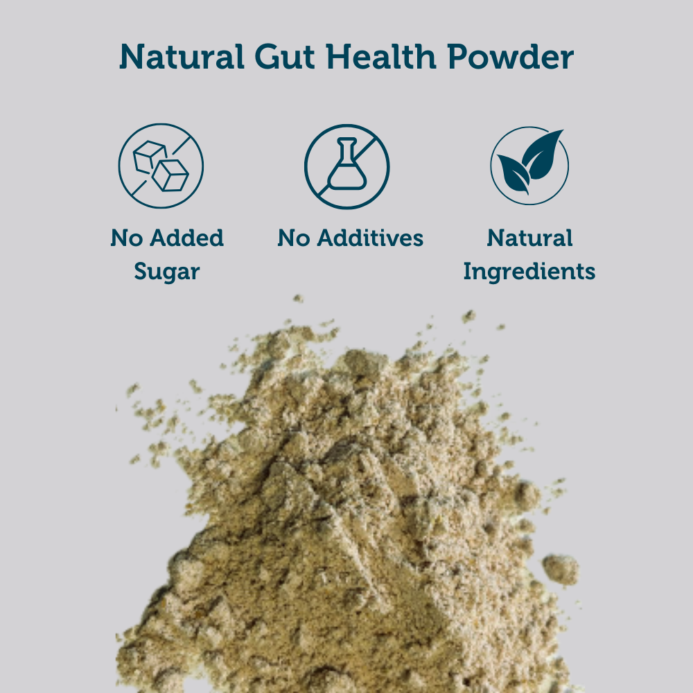 Meal Booster Coconut Blend Focus - Gut Health Powder