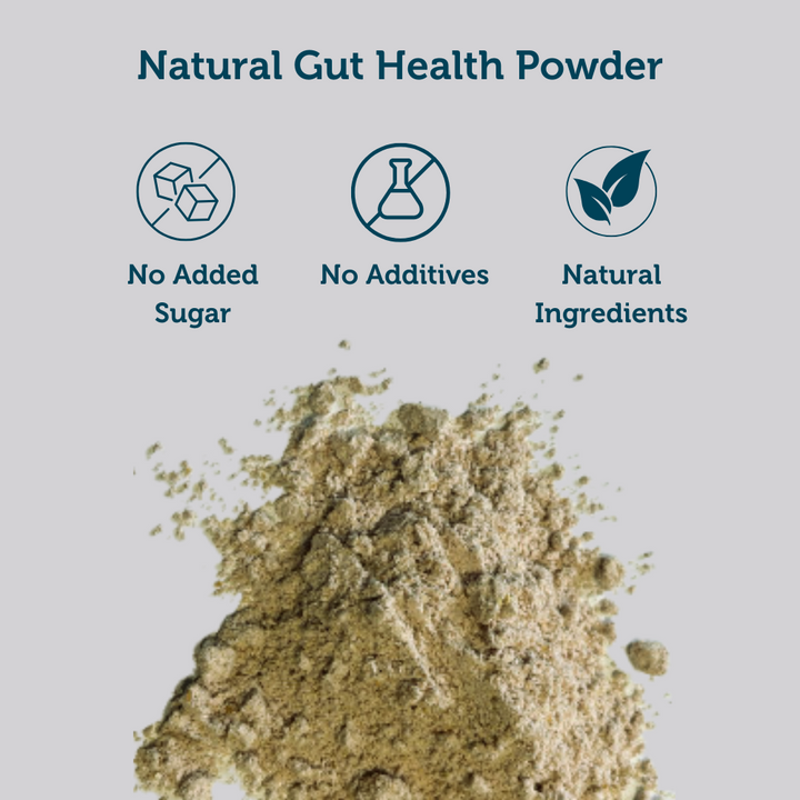 Focus & Energy Starter Pack - Gut Health Powder