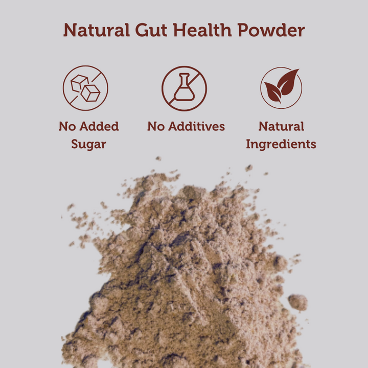 Immunity & Energy Starter Pack - Gut Health Powder